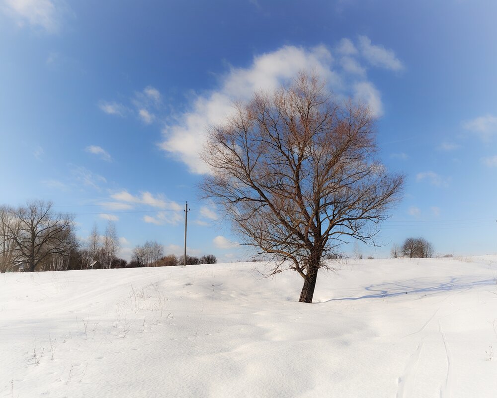Фотография автора Кондрашова Светлана