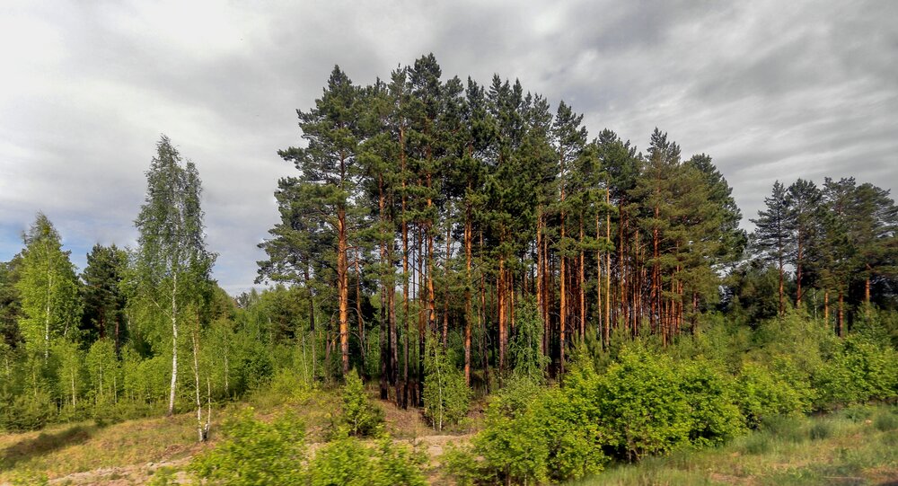 Фотография автора Климов Дмитрий