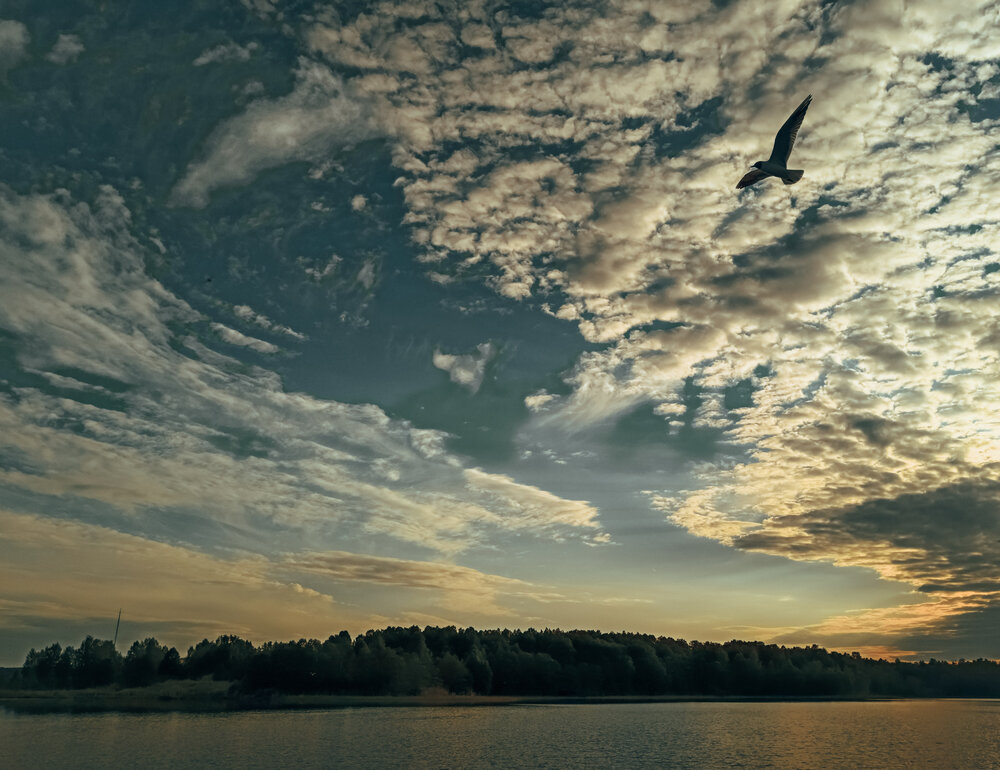 Photograph by Ольга Кунакова