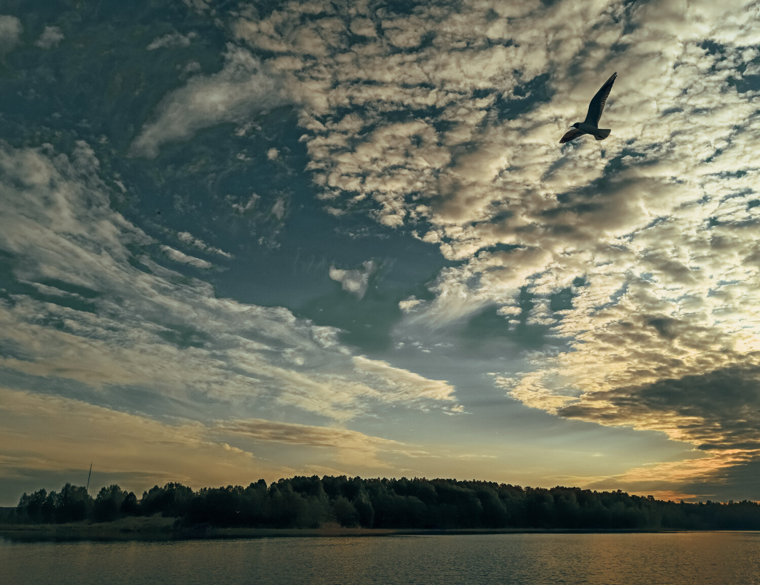 Photo #13778576