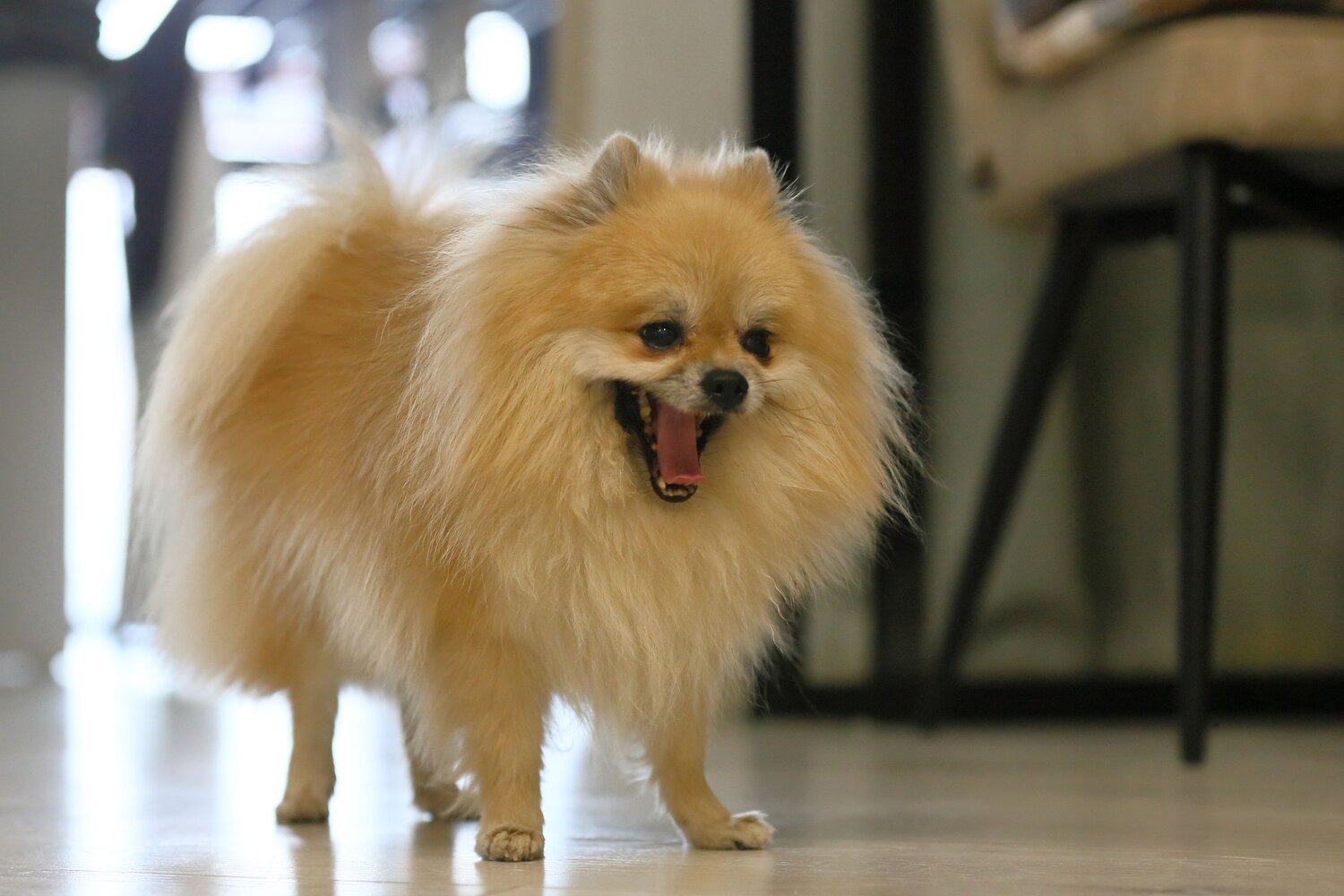 Photo #13778579