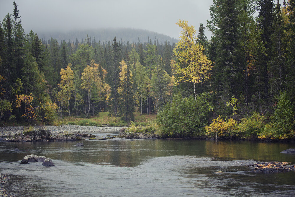 Photo #13778580