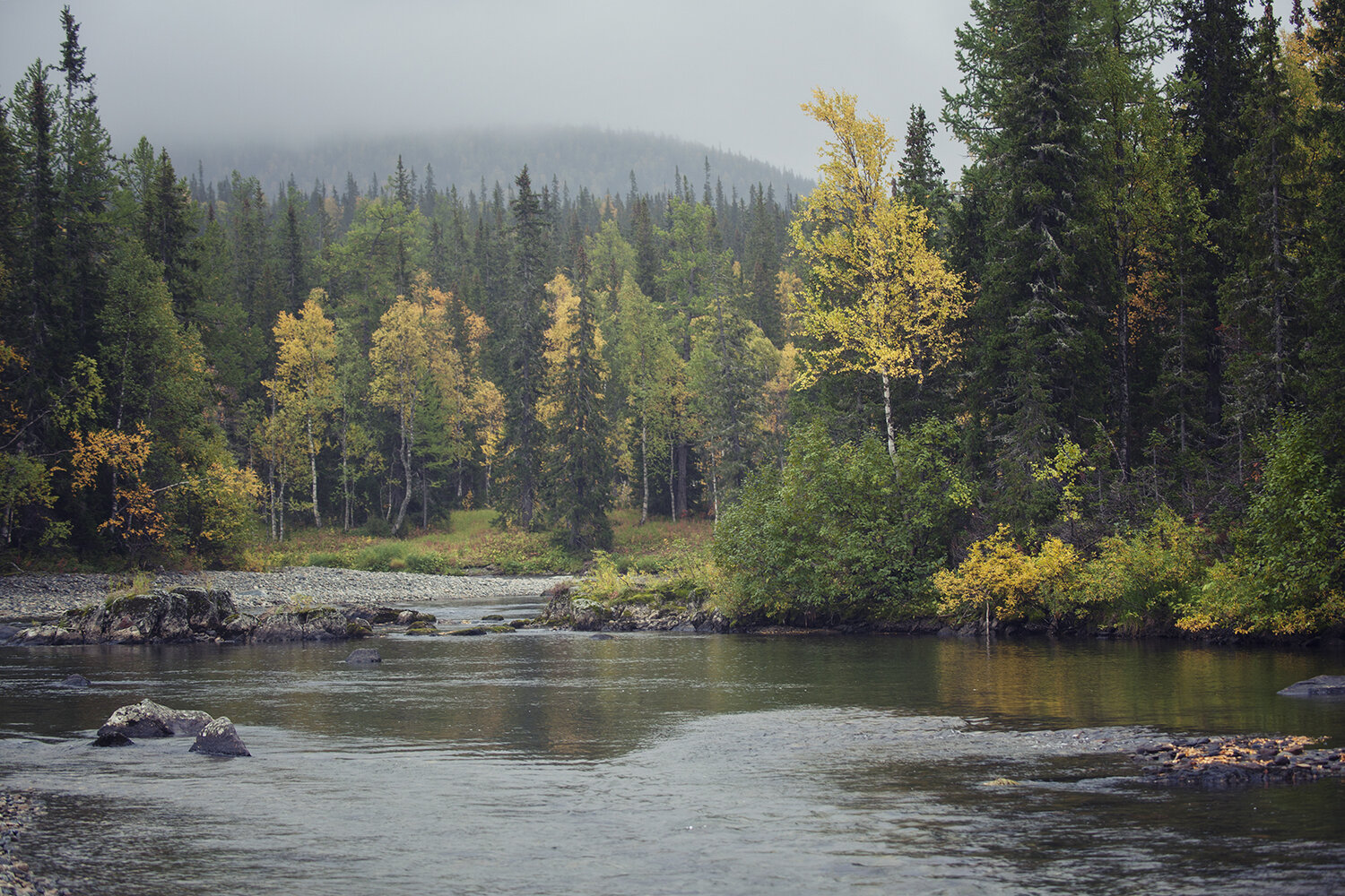 Photo #13778580