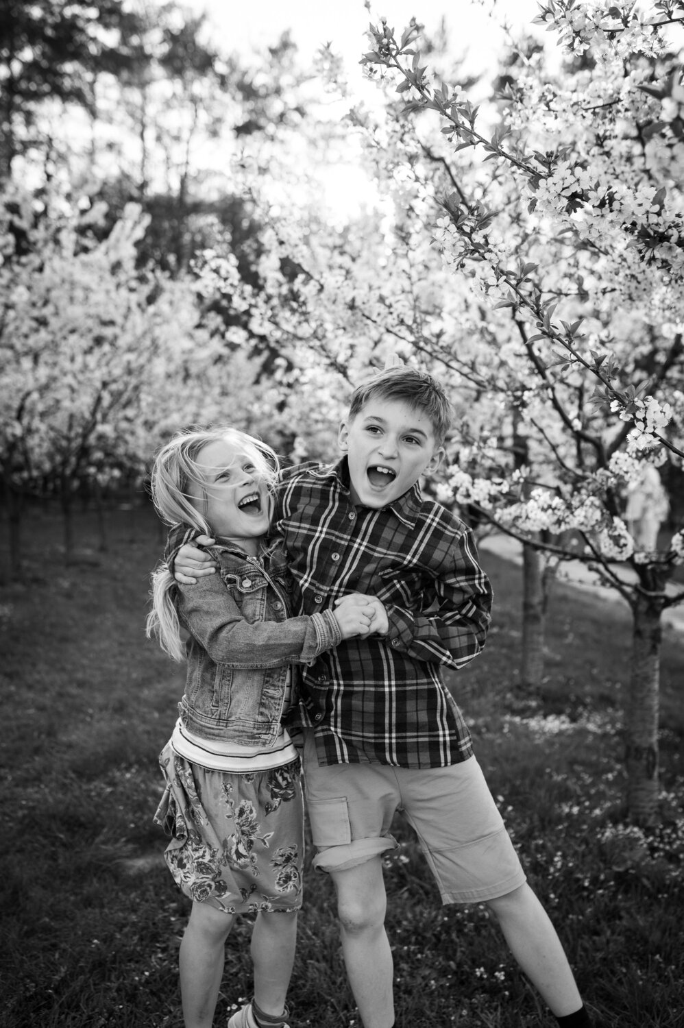 Photo #13778582
