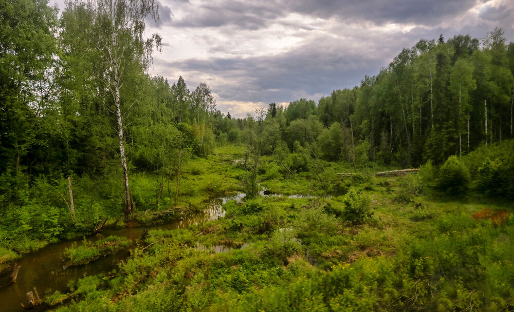 Фотография автора Климов Дмитрий