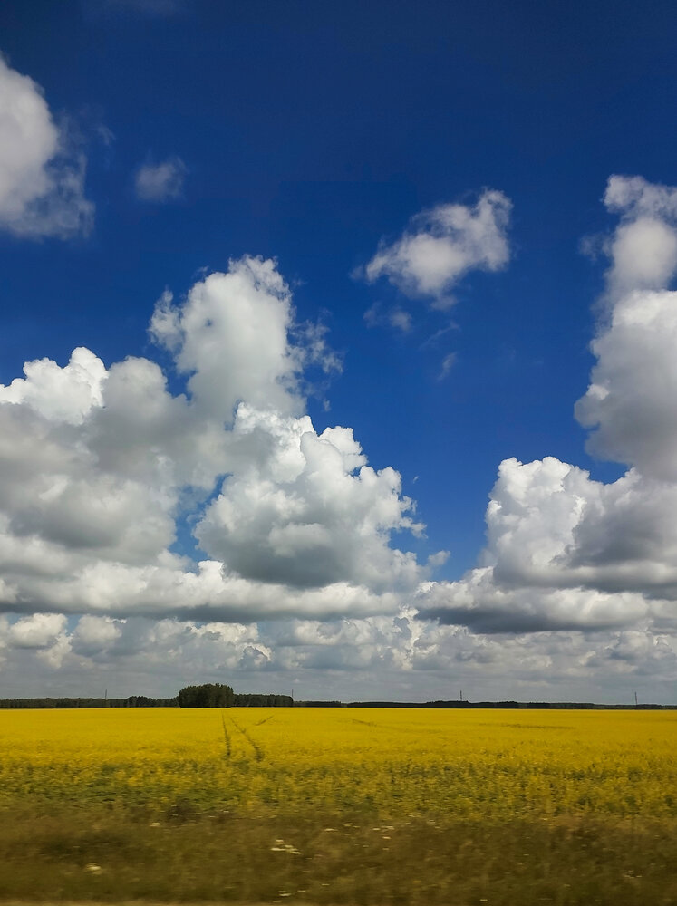 Photograph by Ольга Комиссарова