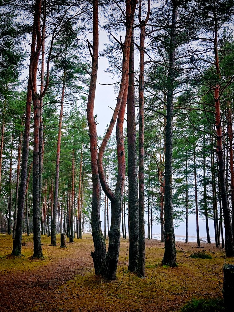 Photograph by Ольга Рыбина