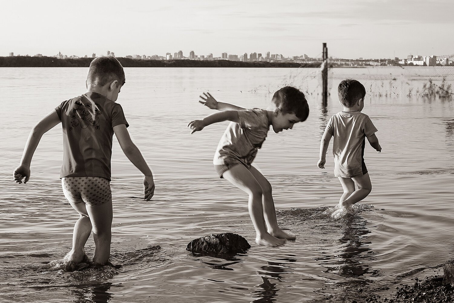 Photo #13778652