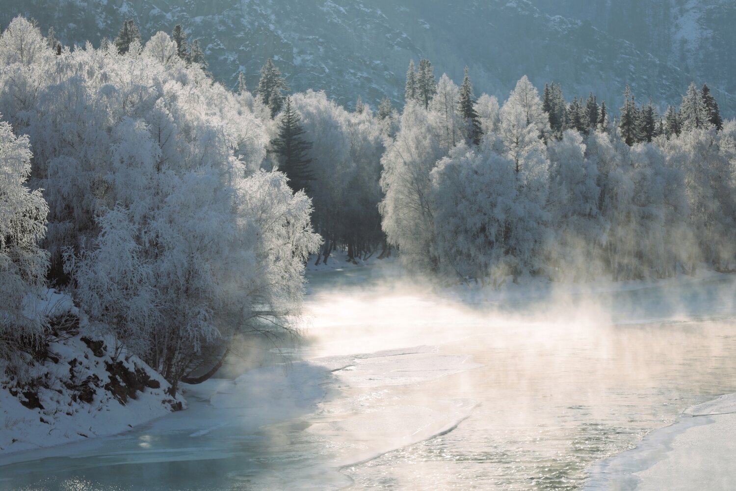 Photo #13778662