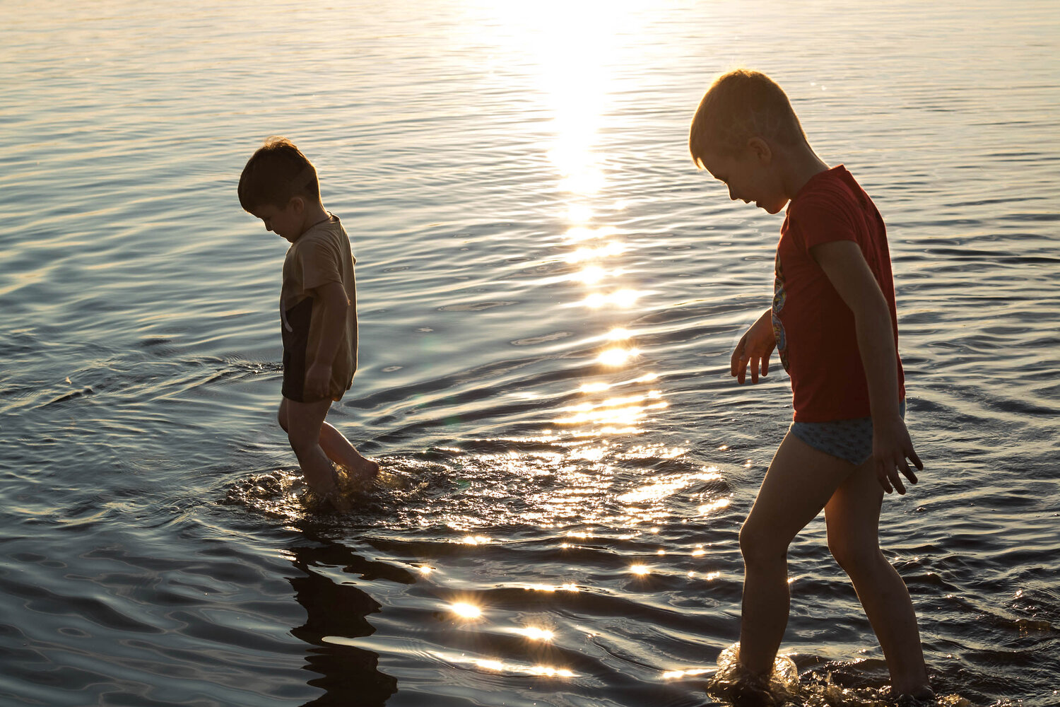 Photo #13778663