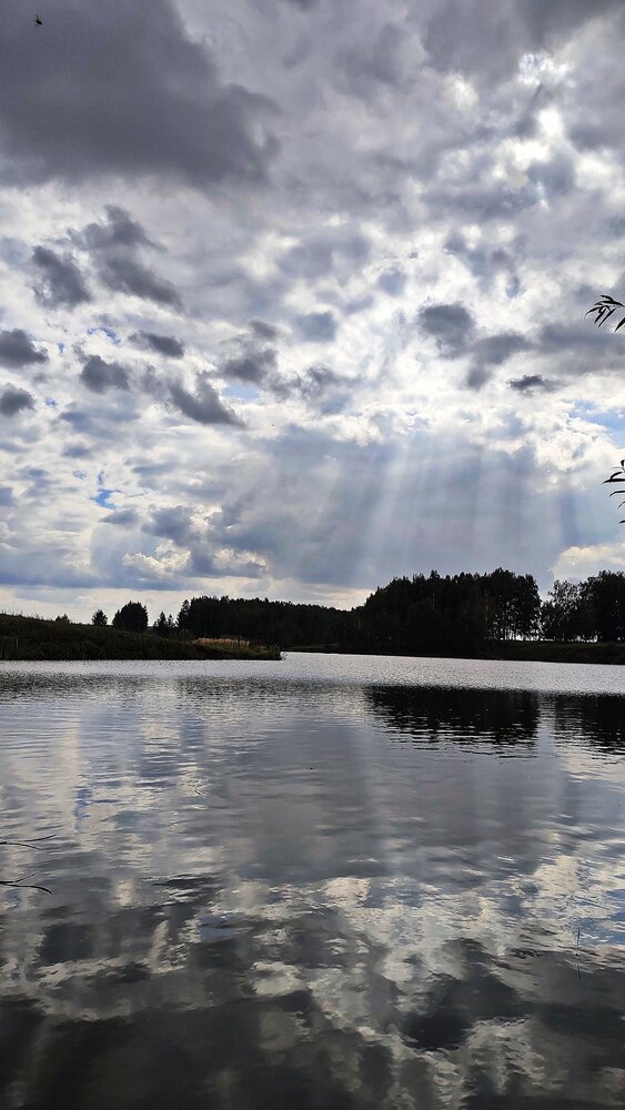 Photograph by Венера Иванова