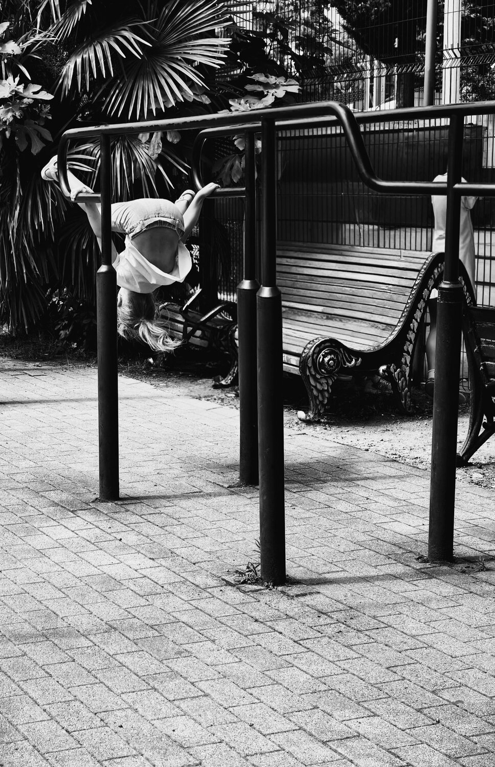Photo #13778675