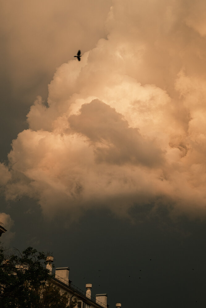 Photograph by Максим Селиванов
