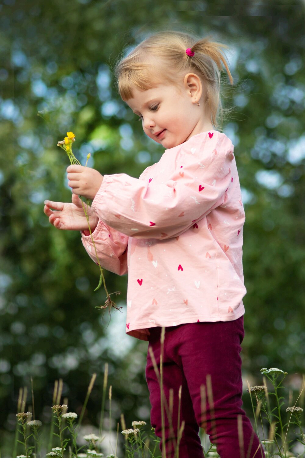 Photo #13778691