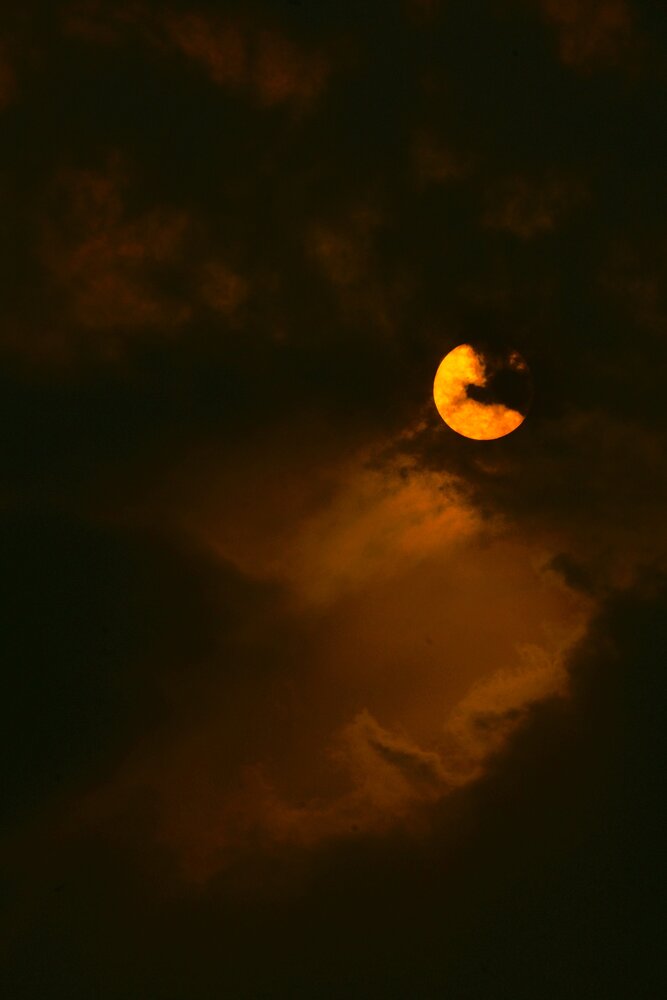 Photograph by Archisman Narayan Lahiri