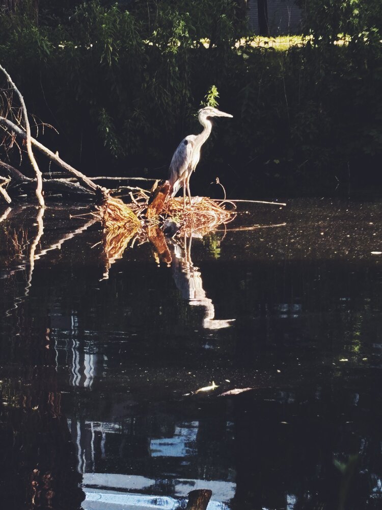 Photograph by Luisa Manzano