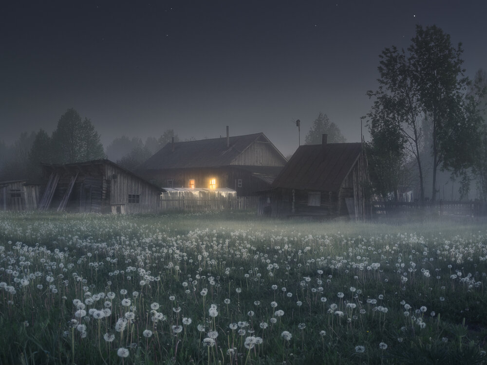 Фотография #13778818
