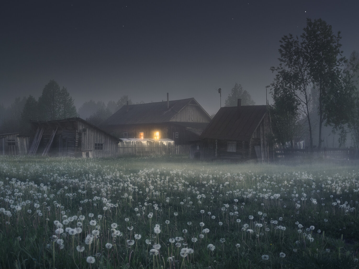 Фотография #13778818