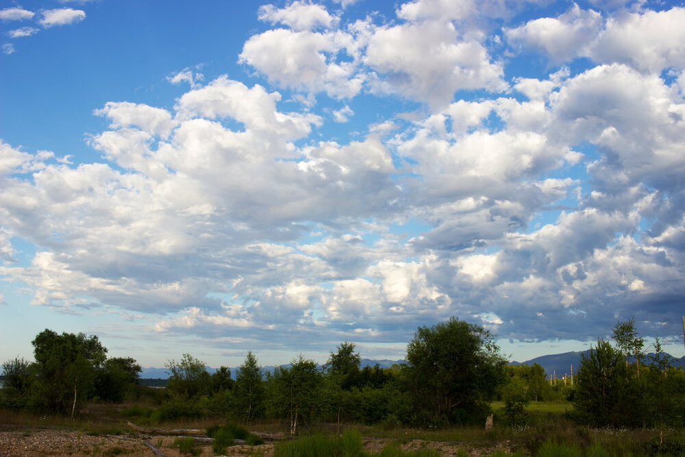 Photo #13778824