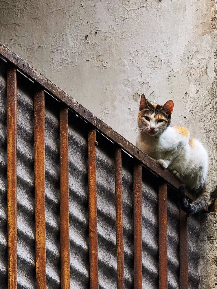 Photograph by Наталья Силантьева