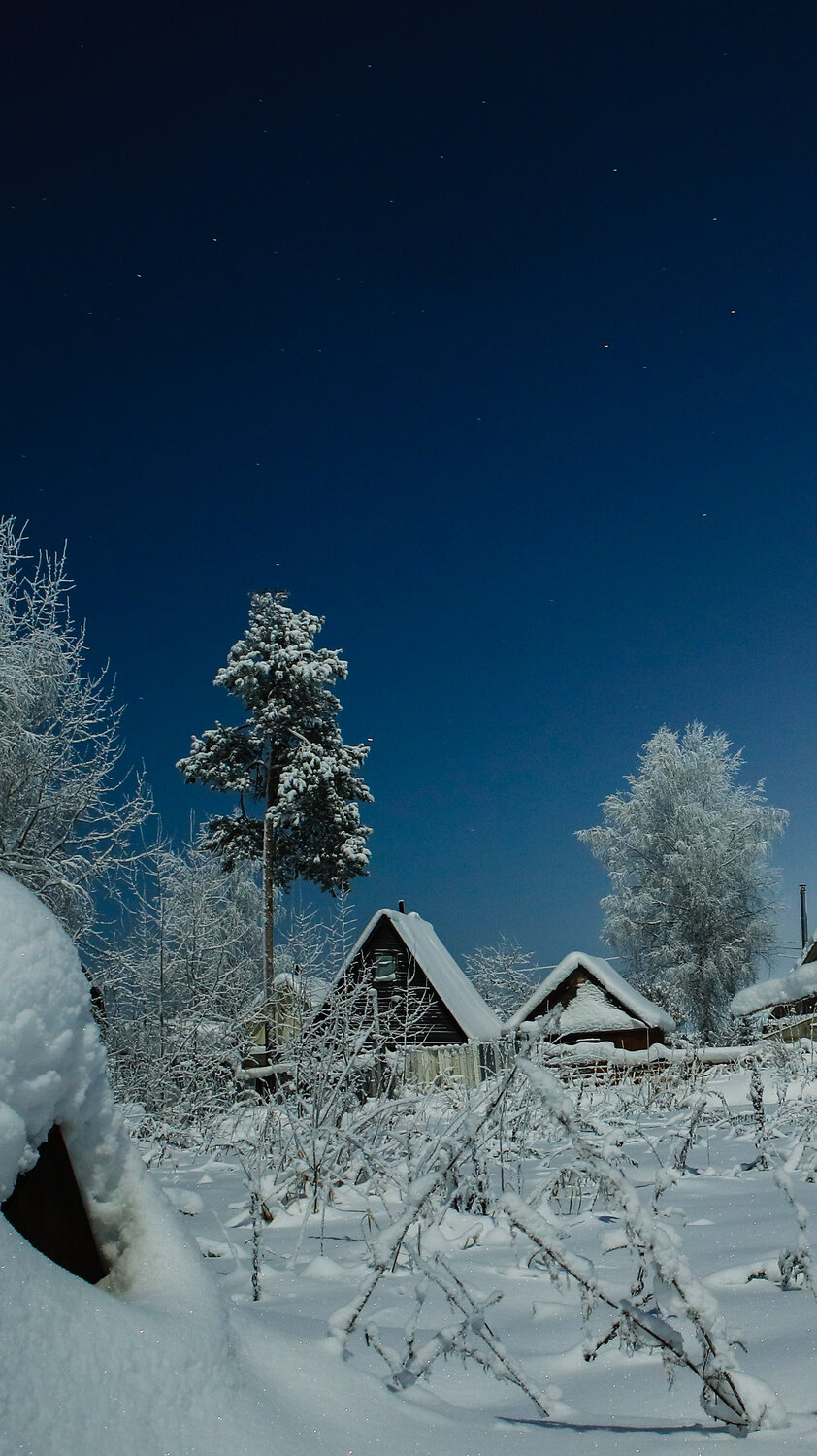Photo #13778857
