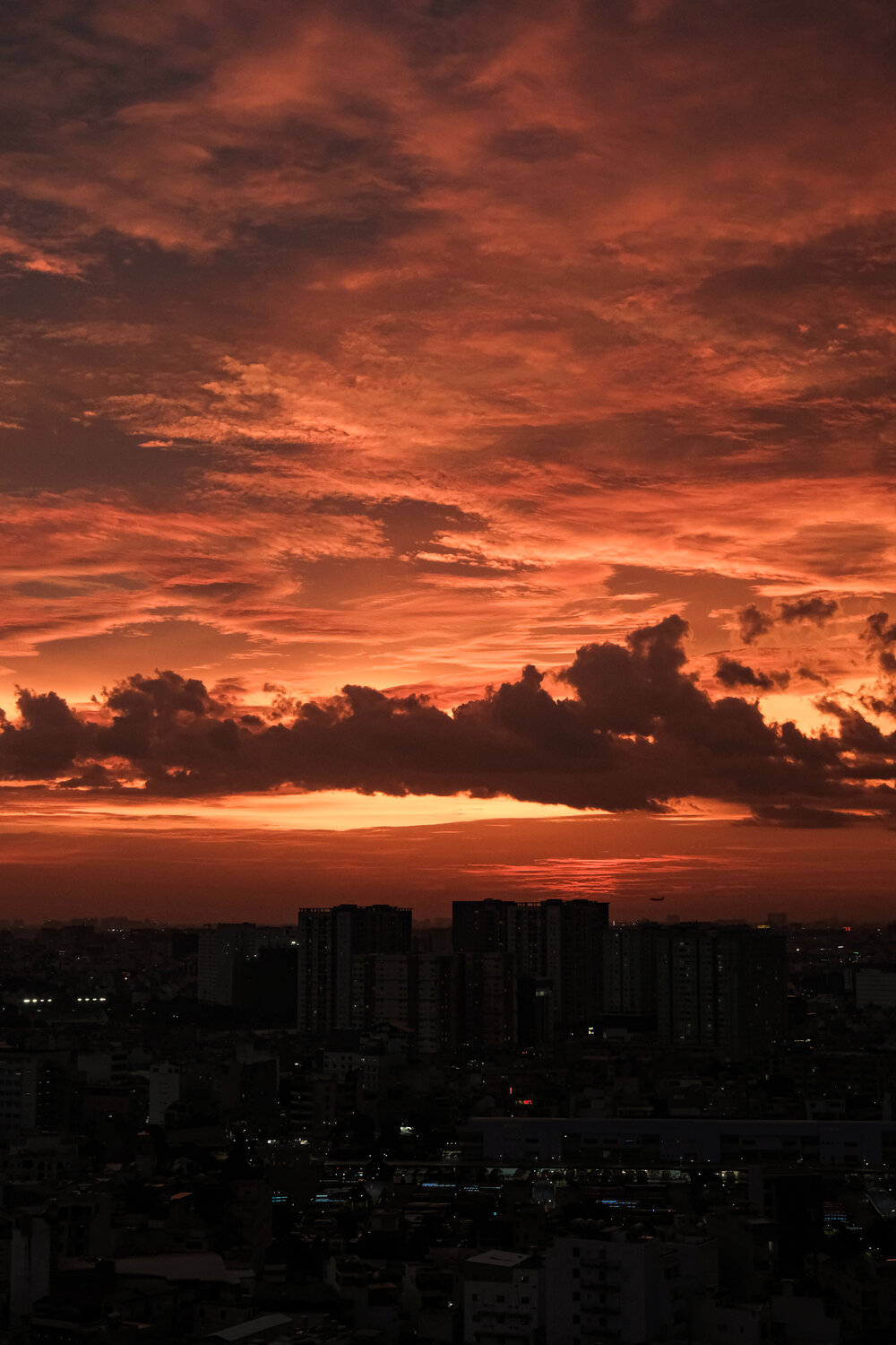 Photo #13778955