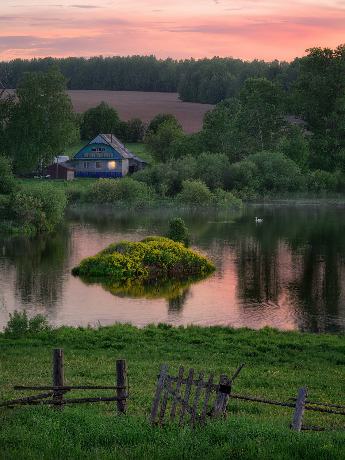 Photo #13778961