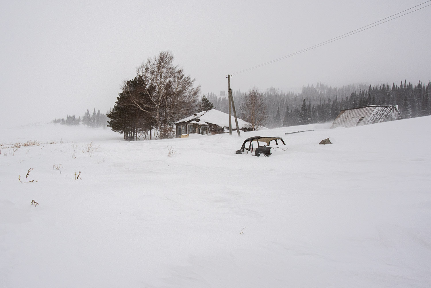 Photo #13778970