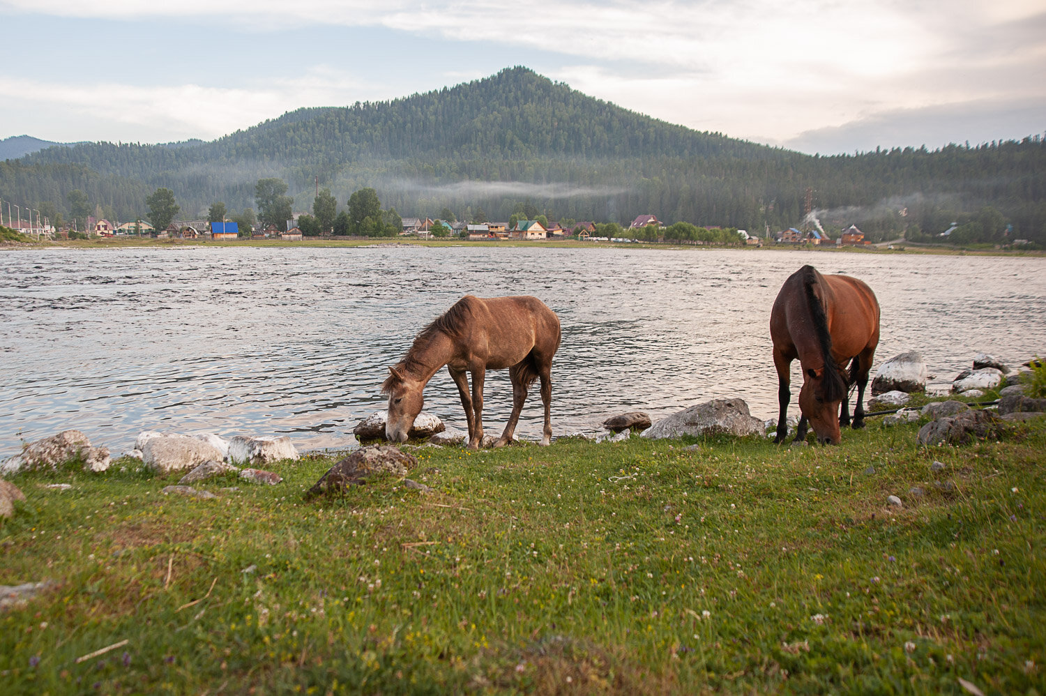 Photo #13778973