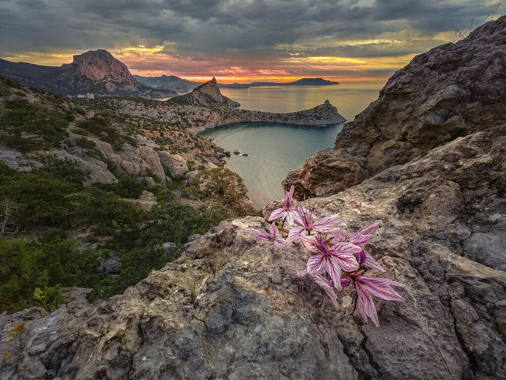 Photograph by Александр Разумов