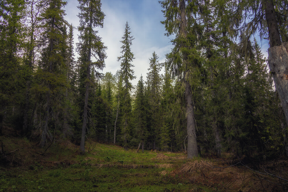 Photo #13778996