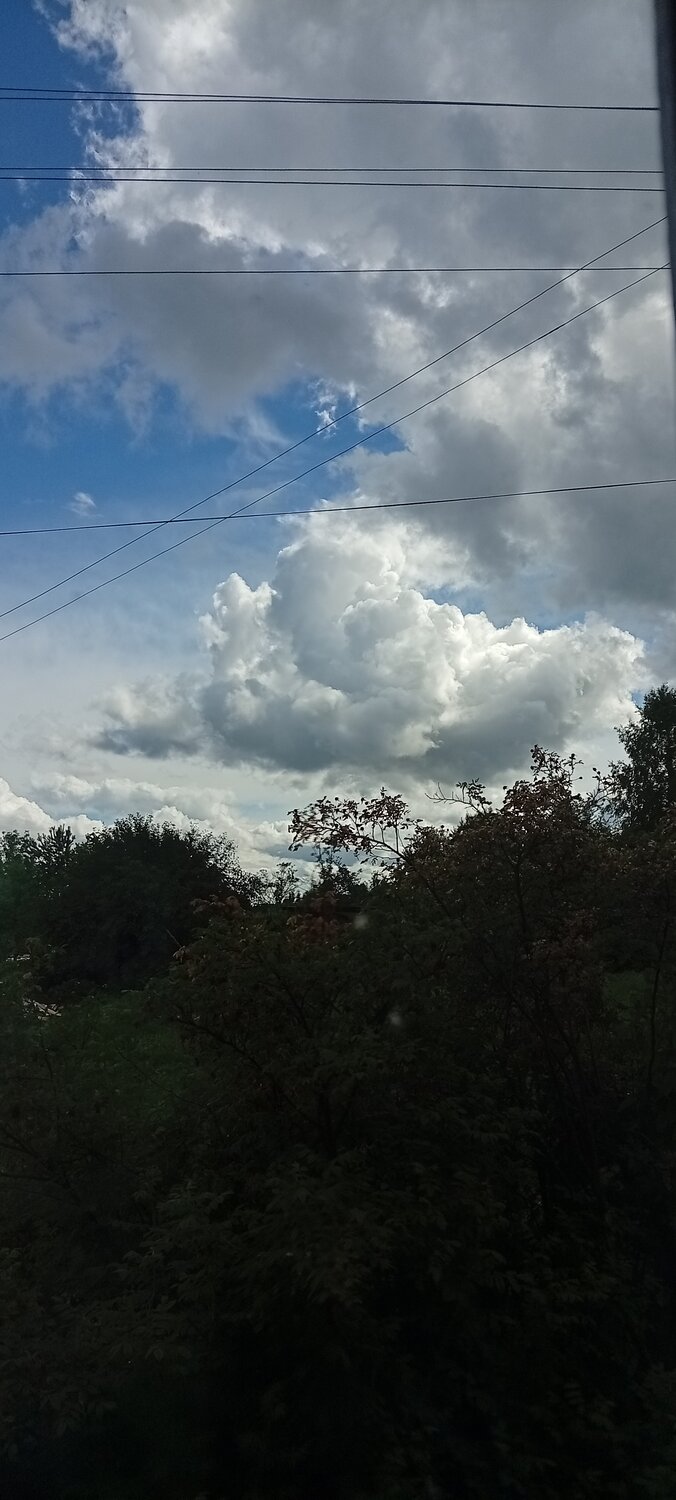Photo #13779029