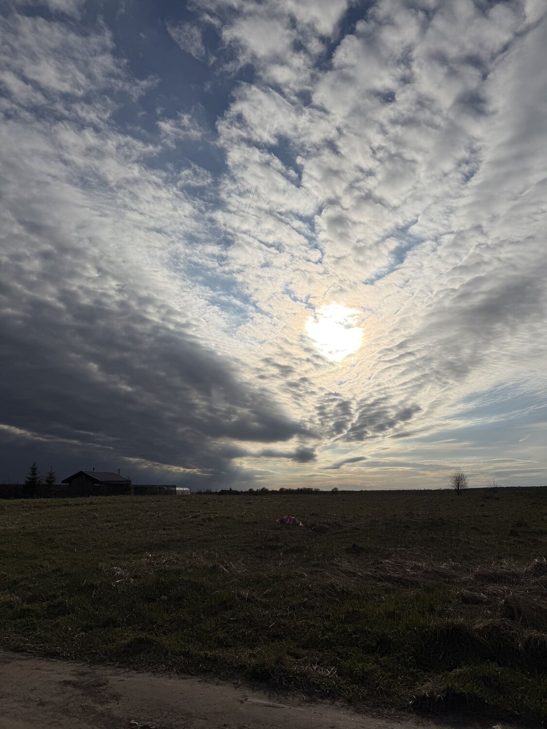 Photo #13779033