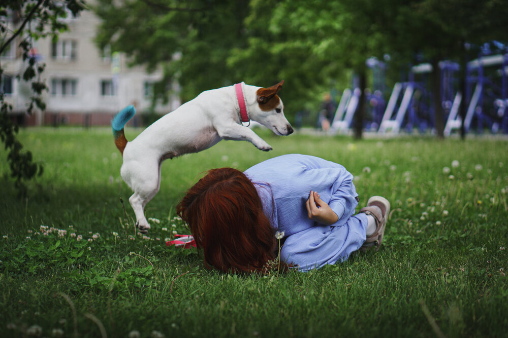 Photograph by Арина Мокрогузова