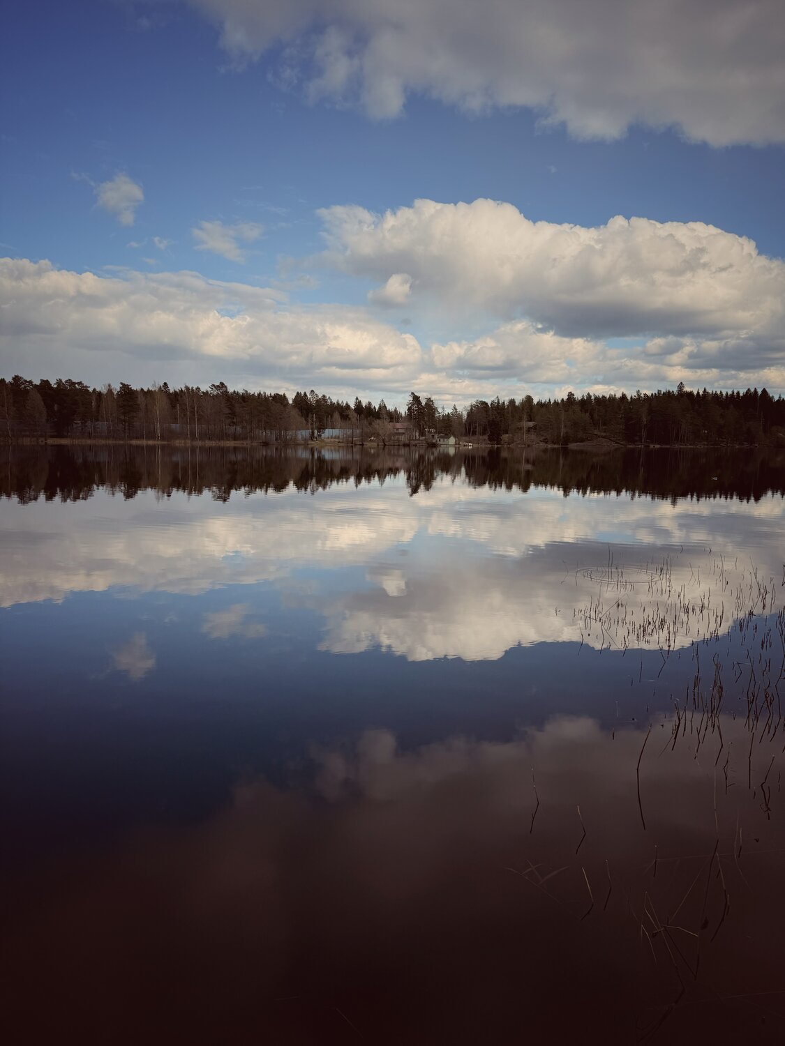 Photo #13779065