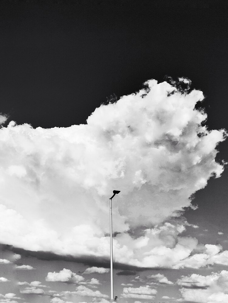 Photograph by Vladyslav Hryhoriev