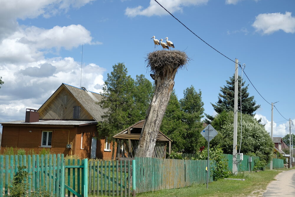 Photograph by Екатерина Морозова