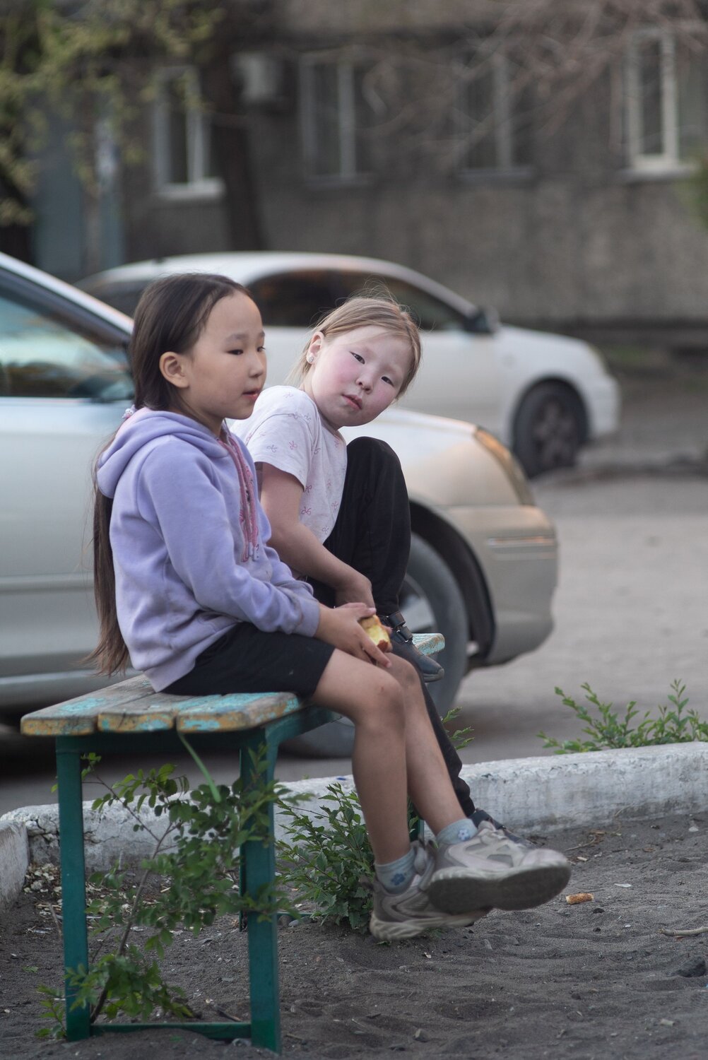 Photo #13779142