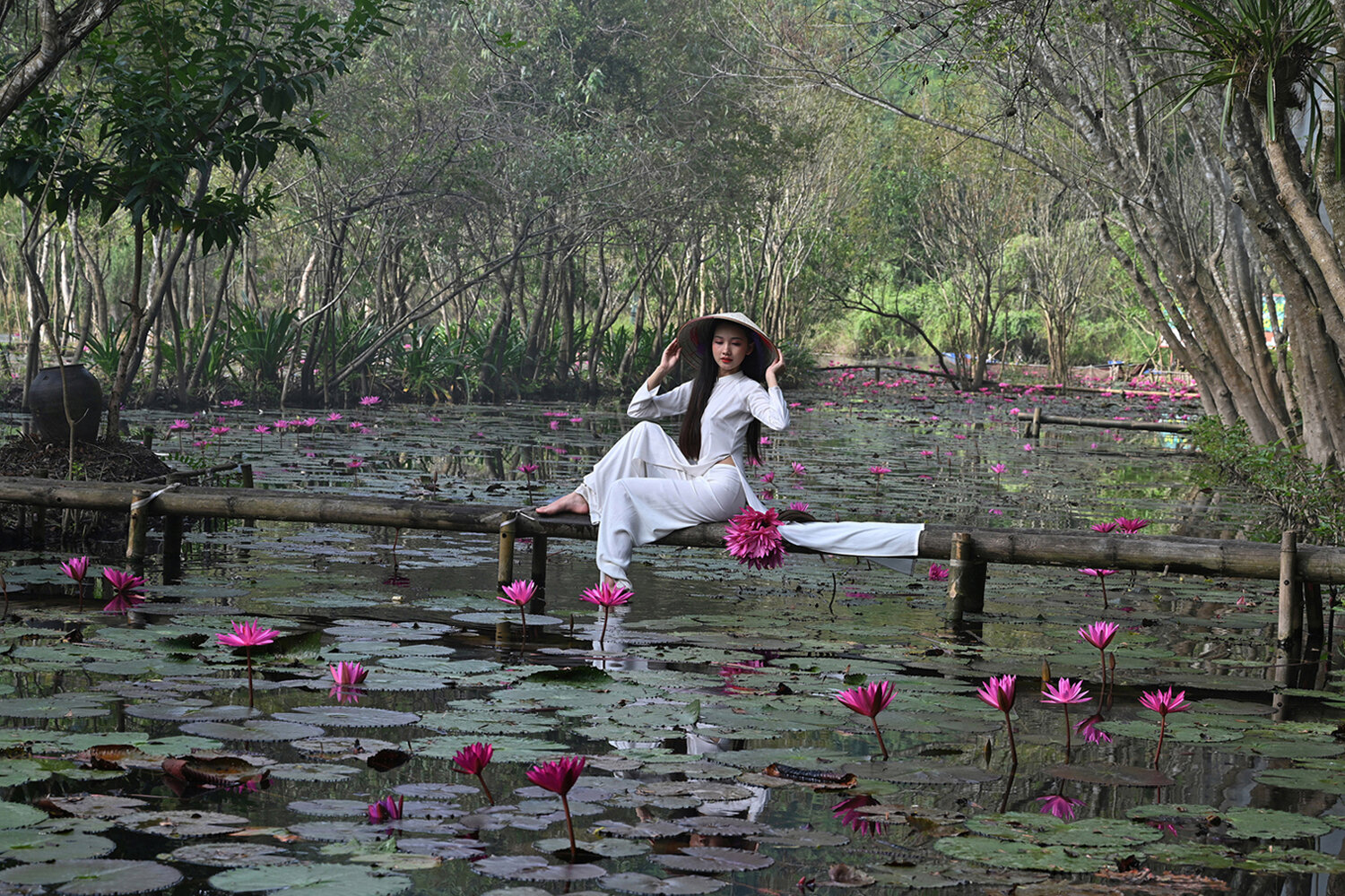 Lotus Whisperer