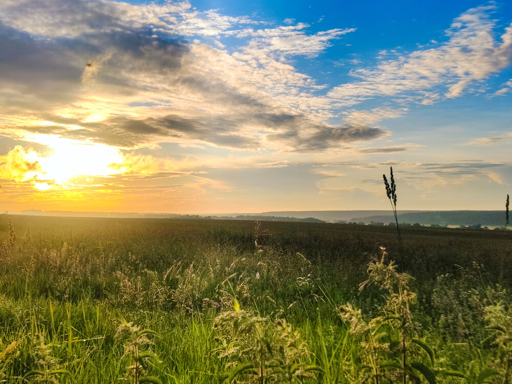 Photograph by Даша Анохина
