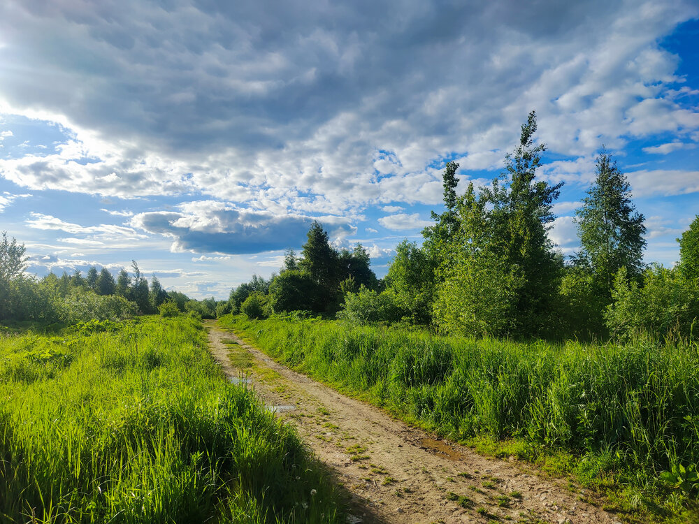 Photograph by Даша Анохина