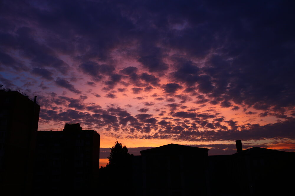 Photograph by Светлана Шуткова
