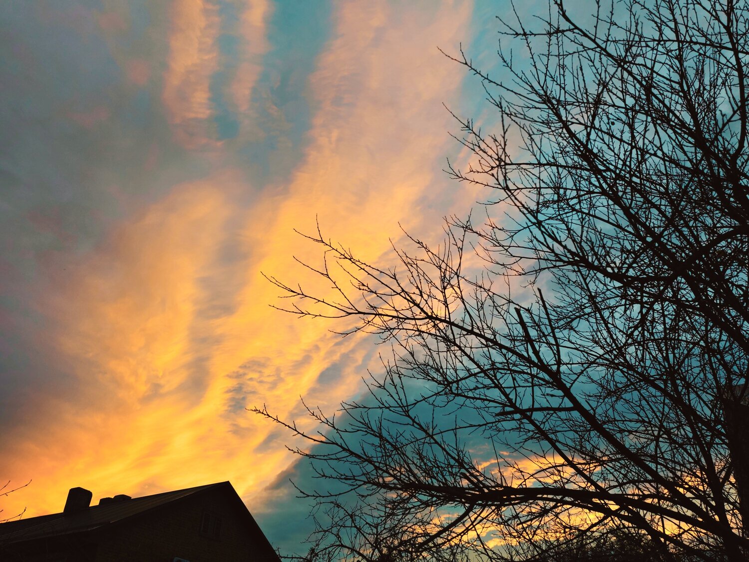Photo #13779273