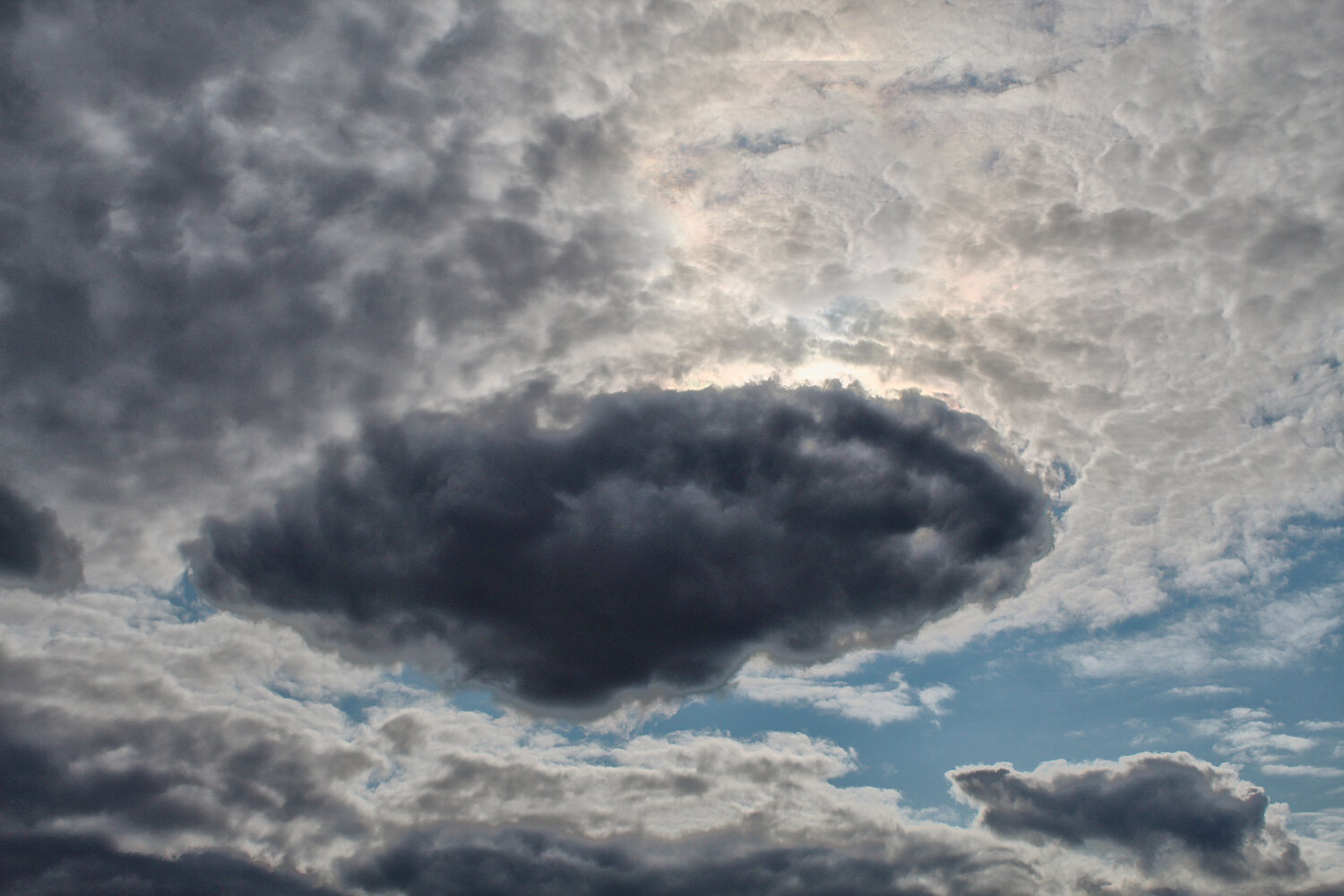 Photo #13779300