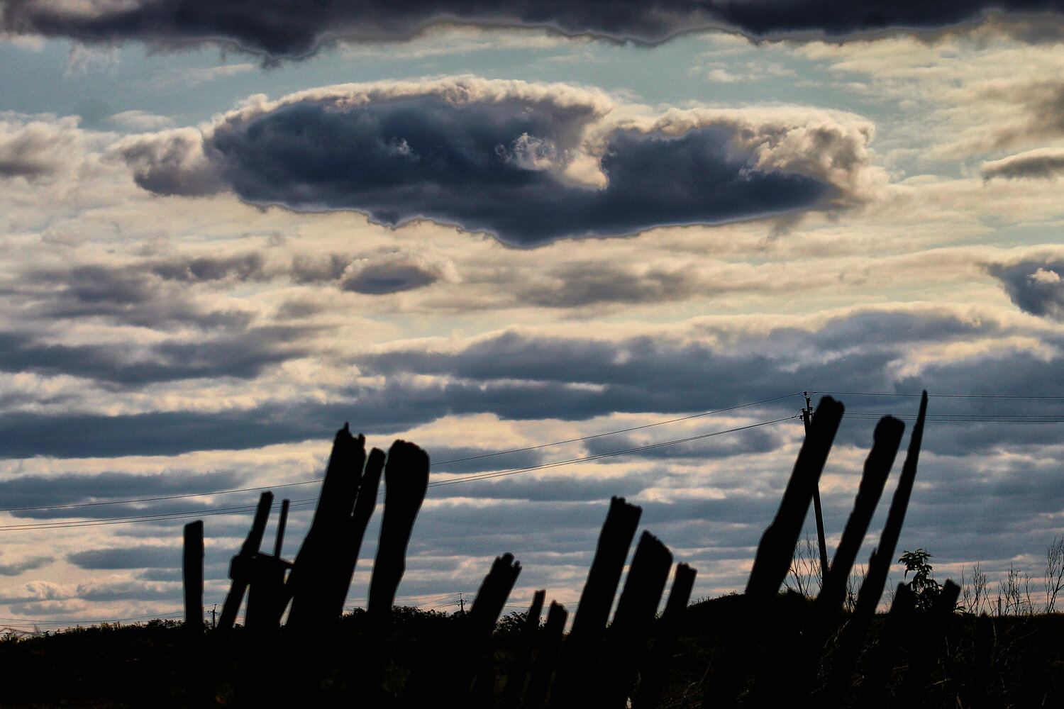 Photo #13779323