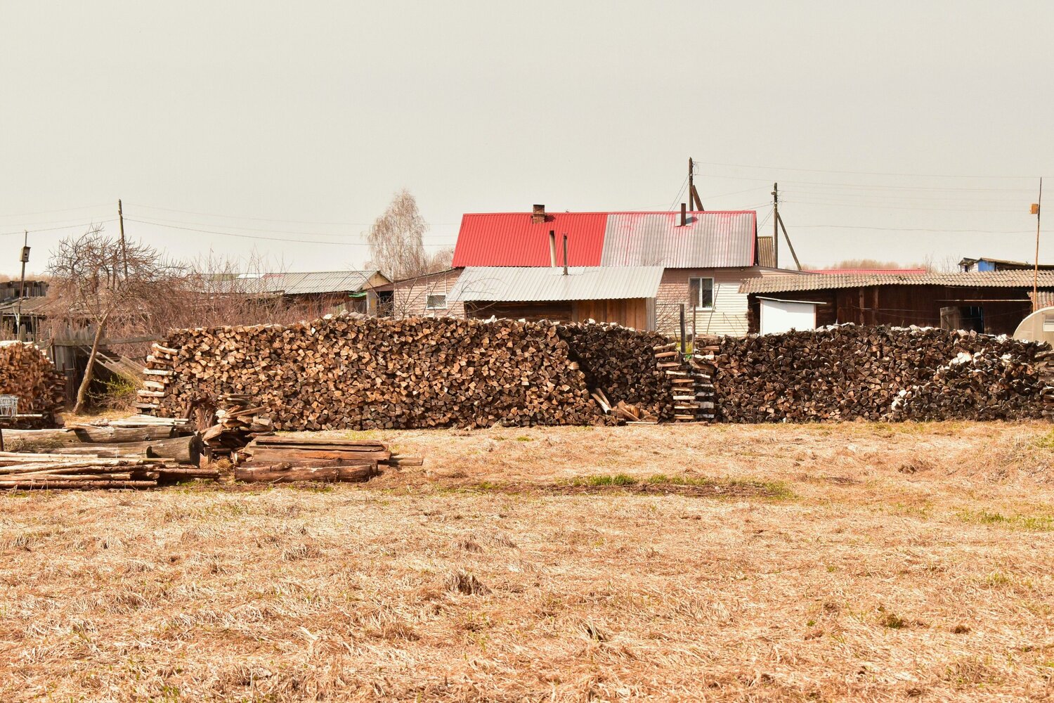 Photo #13779347