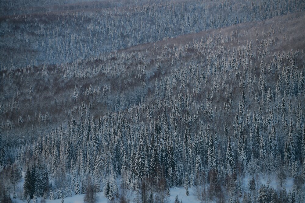 Photograph by Margareth Tikhonova