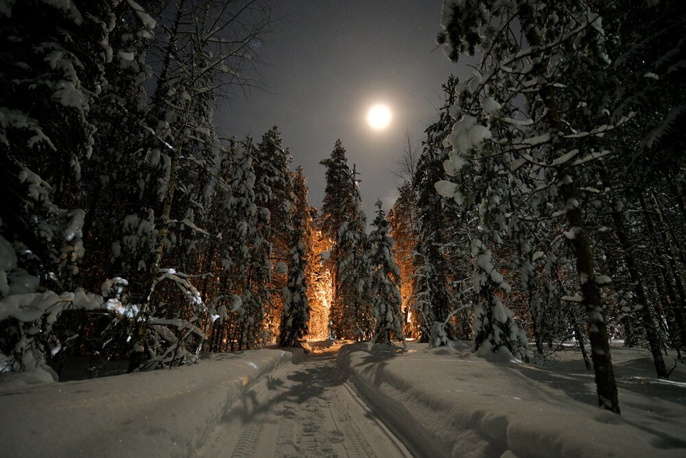 Photograph by Margareth Tikhonova