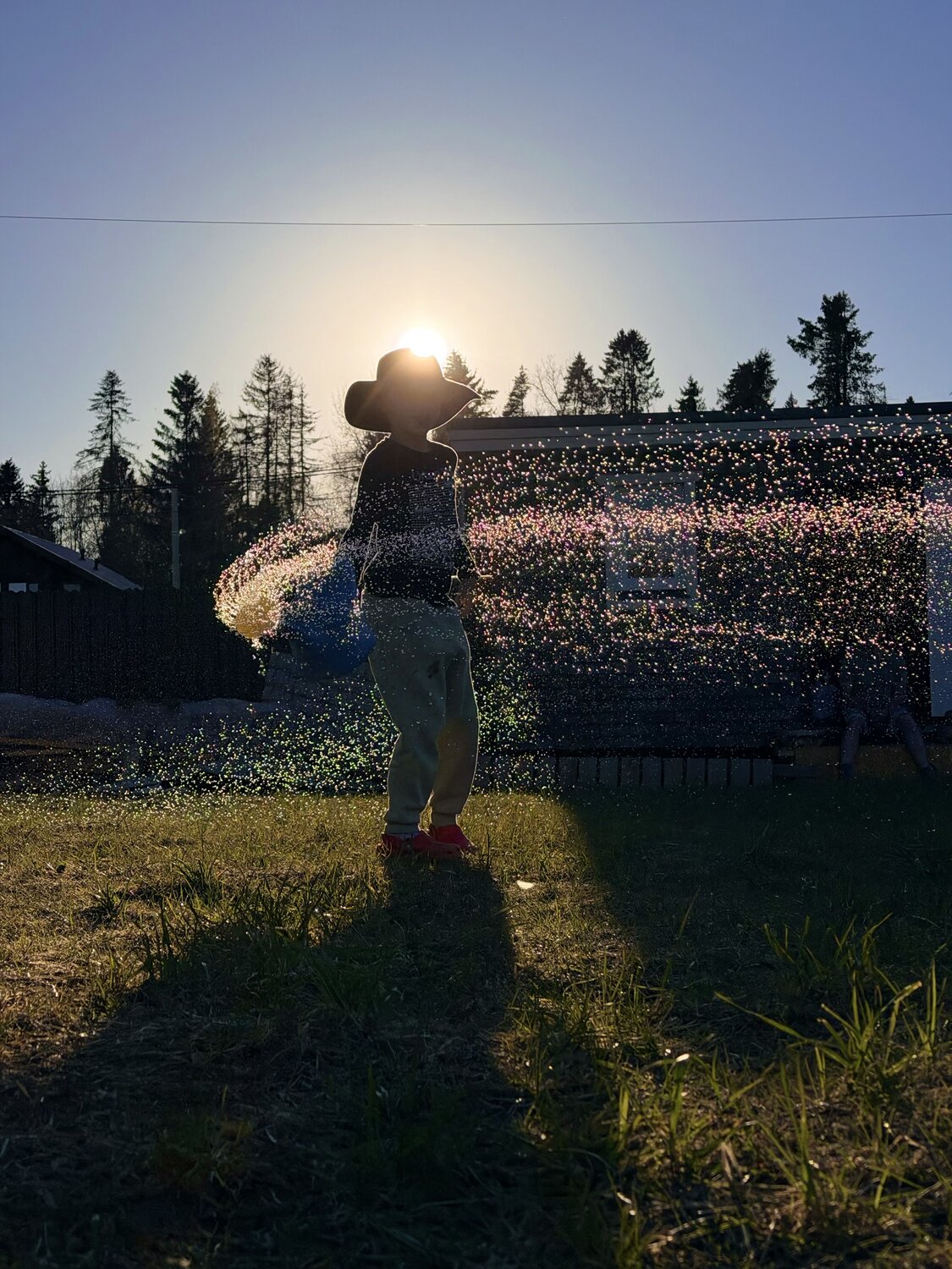 Photo #13779443