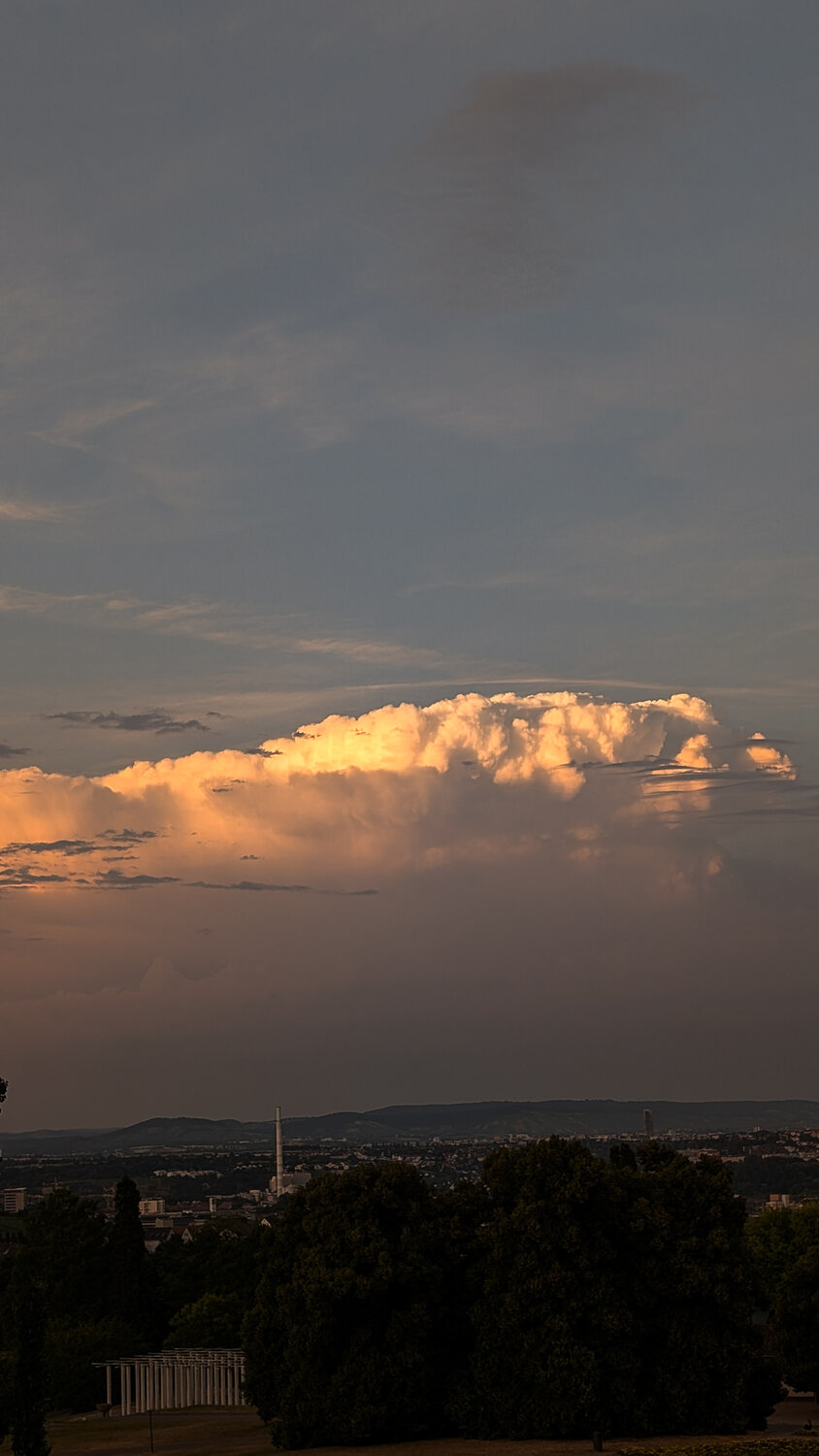 Photo #13779470